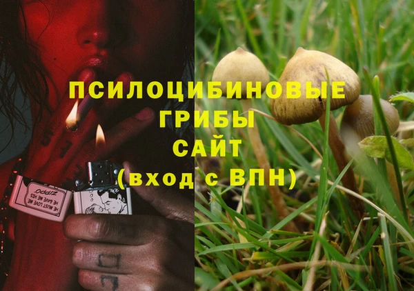 кокаин колумбия Бородино