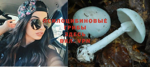 кокаин колумбия Бородино