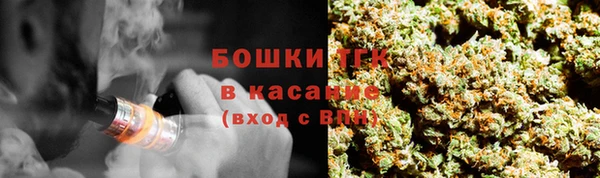 PSILOCYBIN Богородицк