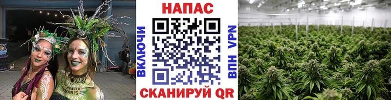 Каннабис гибрид  MEGA ссылка  Гудермес  где можно купить наркотик 